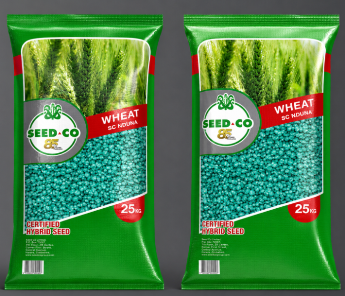 seed